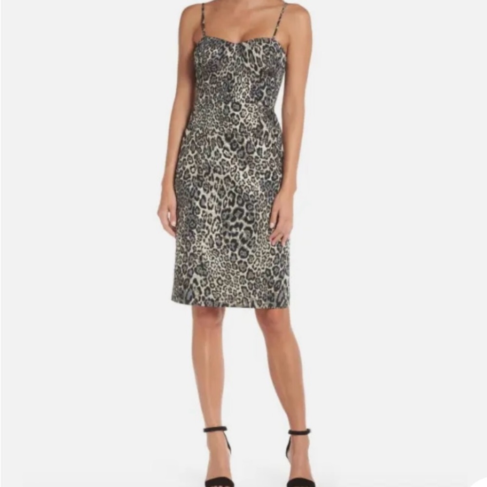 J Crew Leopard Bustier Dress